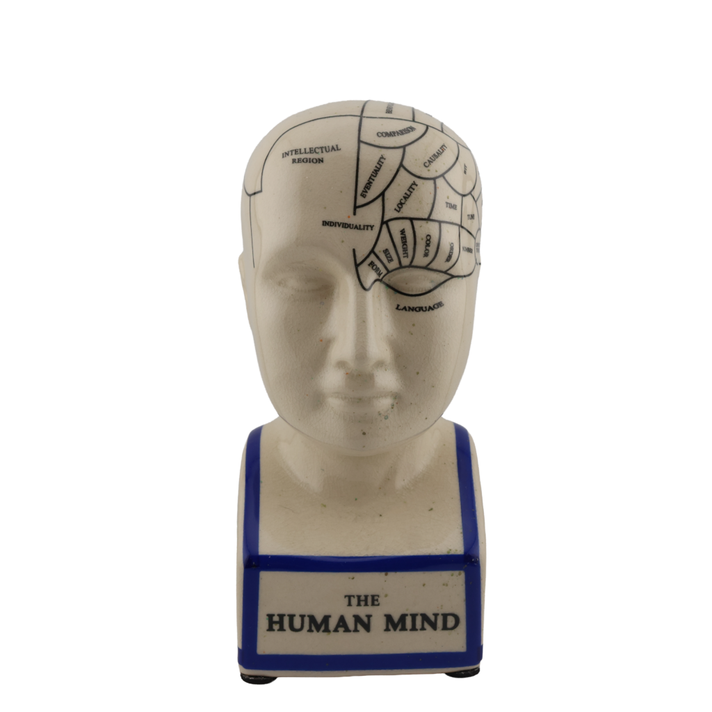 Vintage Phrenology Bust “The Human Mind” Educational Head